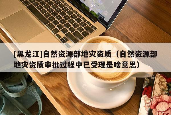 [黑龍江]自然資源部地災資質（自然資源部地災資質審批過程中已受理是啥意思）