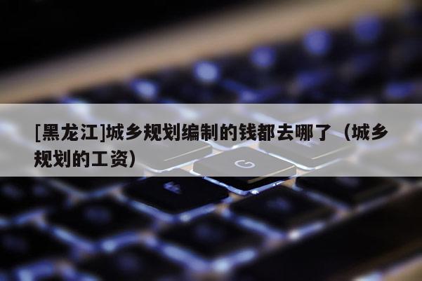 [黑龍江]城鄉規劃編制的錢都去哪了（城鄉規劃的工資）