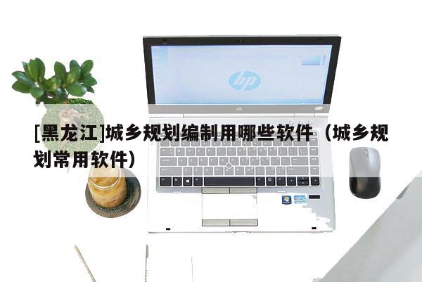 [黑龍江]城鄉規劃編制用哪些軟件（城鄉規劃常用軟件）