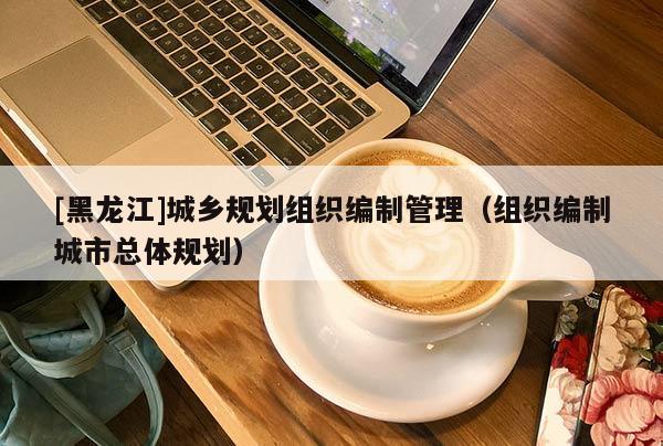 [黑龍江]城鄉(xiāng)規(guī)劃組織編制管理（組織編制城市總體規(guī)劃）