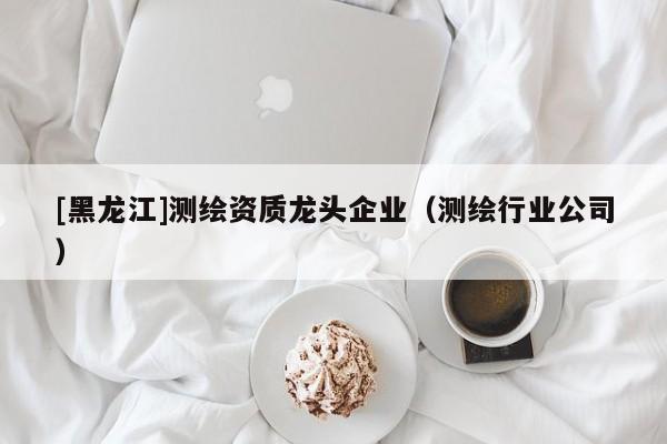 [黑龍江]測繪資質龍頭企業（測繪行業公司）