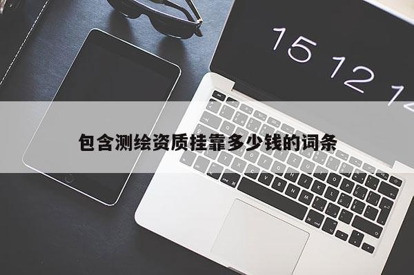 包含測繪資質(zhì)掛靠多少錢的詞條