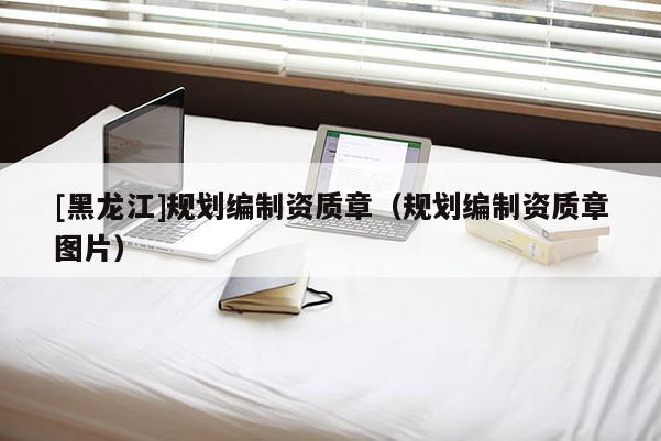 [黑龍江]規劃編制資質章（規劃編制資質章圖片）