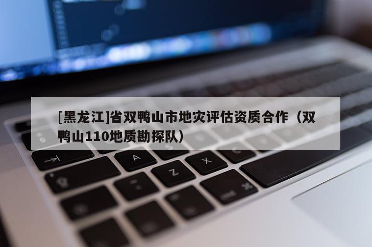 [黑龍江]省雙鴨山市地災(zāi)評估資質(zhì)合作（雙鴨山110地質(zhì)勘探隊）